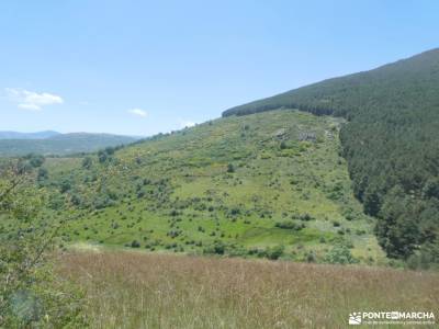 Chorrera de San Mamés-Valle del Lozoya; club solteros madrid fotos navaluenga alpujarras granadinas 